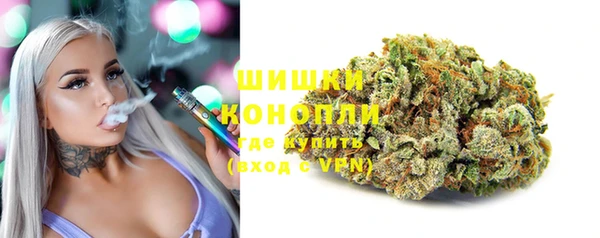 дживик Бородино