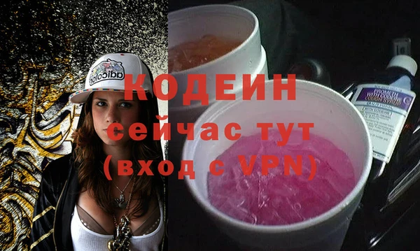дживик Бородино