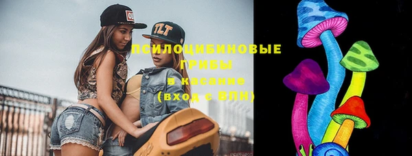 дживик Бородино