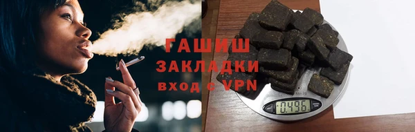 дживик Бородино