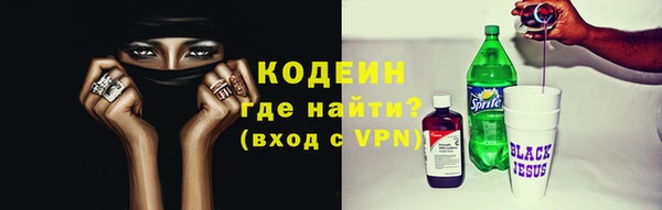 дживик Бородино