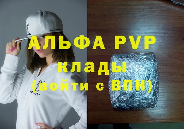 дживик Бородино