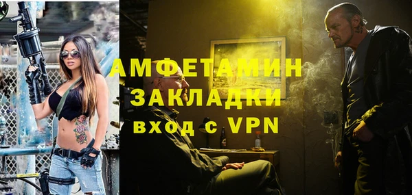 дживик Бородино