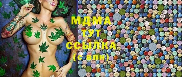 дживик Бородино