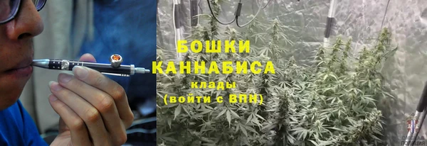 дживик Бородино